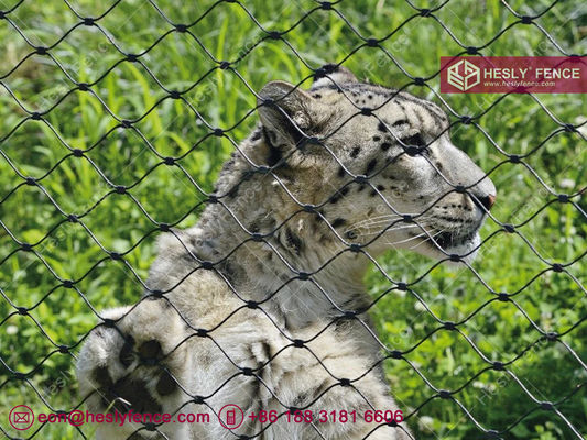 الصين شبكة حديقة الحيوان من الفولاذ المقاوم للصدأ 316l المزود