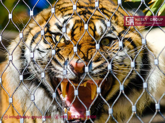 الصين شبكة حديقة حيوان من الفولاذ المقاوم للصدأ 316L | شبكة حظائر الحيوانات المزود