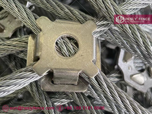 شبكة حماية الصخور النشطة من SNS | شبكة مزدوجة الطبقات | علامة HESLY التجارية | مبيعات المصنع في الصين المزود