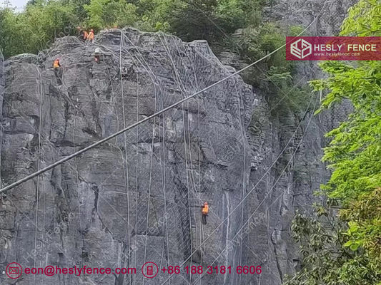 شبكة حماية الصخور النشطة من SNS | شبكة مزدوجة الطبقات | علامة HESLY التجارية | مبيعات المصنع في الصين المزود