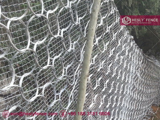 نظام الحاجز السلبي للصخور HESLY ارتفاع 3.0m عرض 10m حلقة فولاذية شبكة حبل HesyFence-China المزود