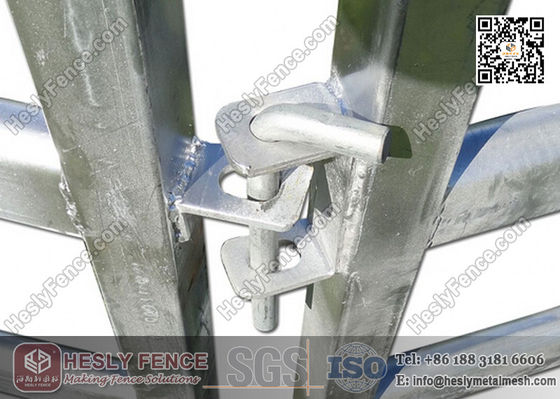 الصين لوحات الحيوانات ذات ارتفاع 1.6 متر (المورد) المزود