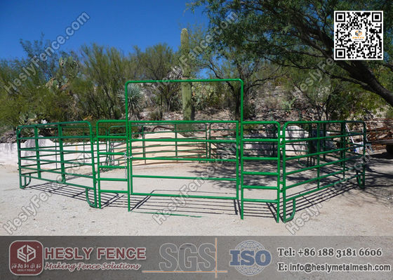 6ft بريميير حصان ألواح الصين المورد المزود