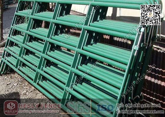 6ft بريميير حصان ألواح الصين المورد المزود