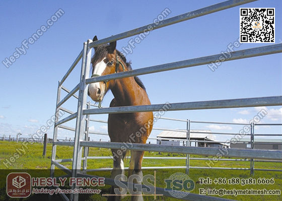 1.8X2.1m الأنبوب البيضاوي لحام الألواح الحديدية الفولاذية المزود