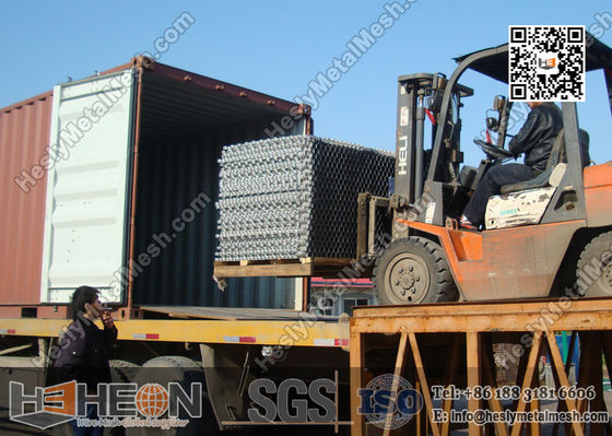 310S 2.0X20X50 مم شبكة سداسية لبطانة مقاومة للحرارة | مصنع شبكات سداسية في الصين المزود