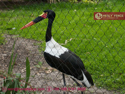 شبكة حديقة الحيوان من الفولاذ المقاوم للصدأ 316l المزود