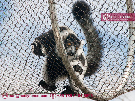 شبكة حديقة الحيوان من الفولاذ المقاوم للصدأ 316l المزود