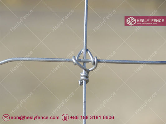 ارتفاع 1.5 متر سلك 2.0 ملم | سياج ملفوف منسوج | سياج الماشية | سياج المراعي | مصنع الصين المزود