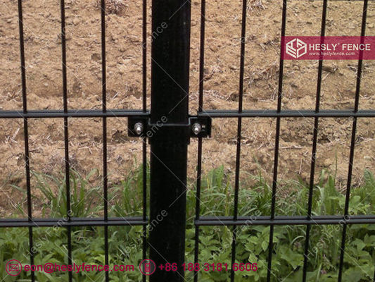 656 سلك مزدوج للشبكة السياج. سياج رياضي. سلك أفقي مزدوج 6.0 ملم. لوحة شبكة صلبة. المزود