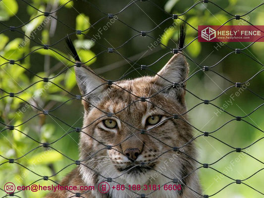 316L سلك الفولاذ المقاوم للصدأ كابل الحيوان قفص للحديقة الحيوانية الحديقة الصينية مصنع شبكة الحديقة المزود