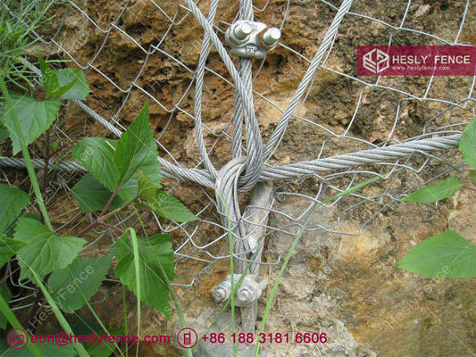 نظام شبكة الحماية النشطة من تساقط الصخور | شبكة حبال فولاذية مجلفنة | شبكة فولاذية عالية الشد | حبل 8.0 مم | HESLY المزود