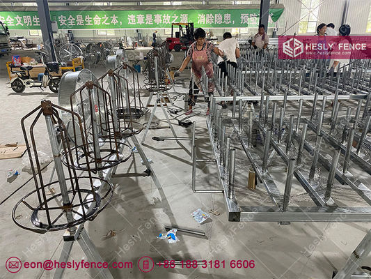 MZP Putanka Wire، 10X10m، 0.5/0.6/0.8/0.9mm قطر الأسلاك، شبكة الأسلاك الفولاذية عالية الجاذبية، مبيعات المصنع، الصين HeslyFence المزود