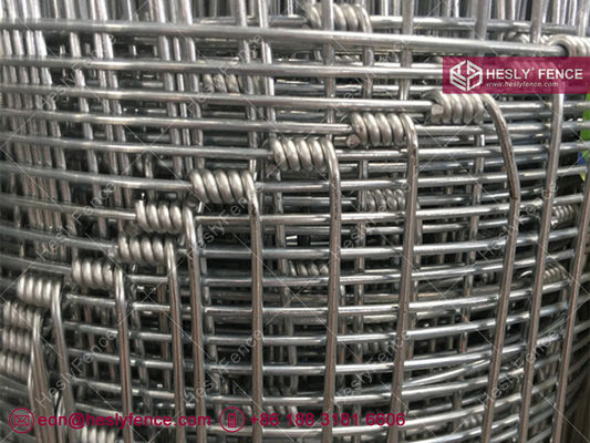 1سلك بطول 2.5 ملم. سياج الماشية المنسوج. سياج الحقل. سياج المراعي. المزود