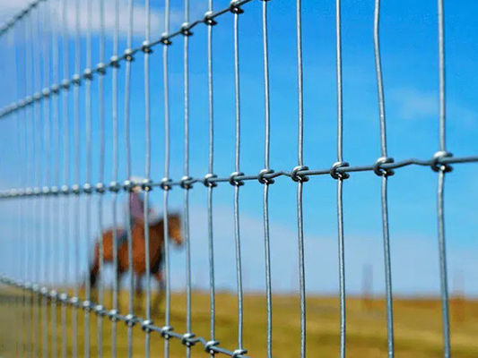 شبكة سياج سلكية بعقدة S، شبكة سياج خيول، مجلفنة، 2X50 متر، مورد شبكات حقول HeslyFence الصينية المزود