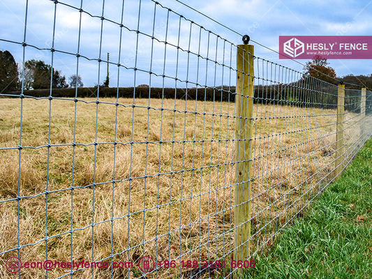 شبكة سياج سلكية بعقدة S، شبكة سياج خيول، مجلفنة، 2X50 متر، مورد شبكات حقول HeslyFence الصينية المزود