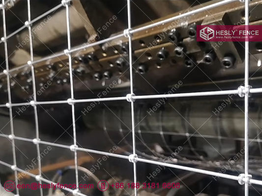 شبكة سياج سلكية بعقدة S، شبكة سياج خيول، مجلفنة، 2X50 متر، مورد شبكات حقول HeslyFence الصينية المزود