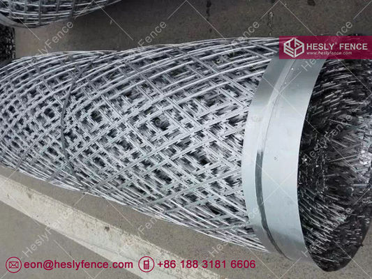 2.4mX6.0m، 150X300mm حفرة الماس حلاقة السياج الشبكة. المزود