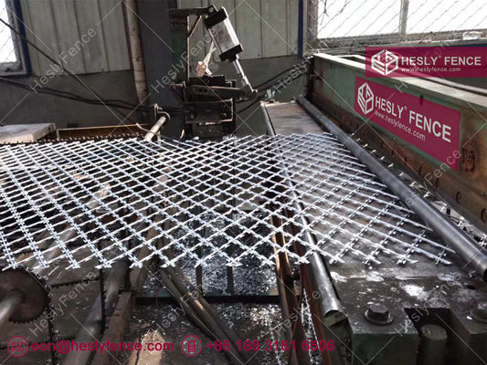 سياج شبكي ممزق مع طلاء مسحوق أخضر، شفرة حلاقة BTO-30، ثقب ماسي 150 × 300 مم، الصين HeslyFence المزود