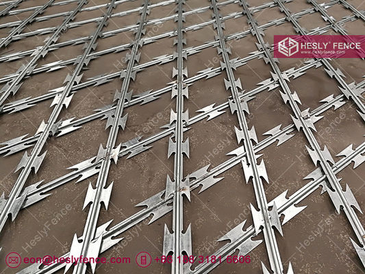 سياج شبكي ملحوم ممزق | H2.5mX6.0m | ثقب الماس 50X100mm | سي بي تي-65 | CBT-60 - هيسلي فينس_الصين المزود