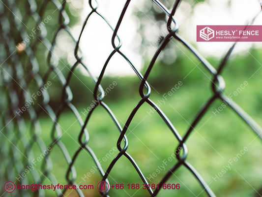 سياج شبكي مطلي باللون الأخضر من مادة PVC | فتحة شبكة 50X50 مم | سلك 3.8 مم المزود