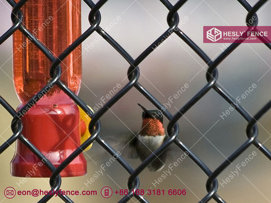 شبكة سياج فينيل سوداء متشابكة | فتحة شبكة 60X60 مم | سلك 4.0 مم - Hesly Fence، الصين المزود