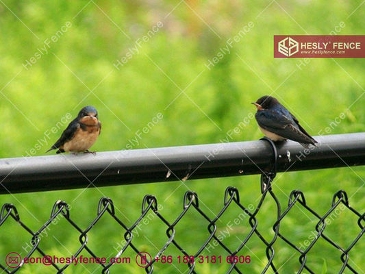 شبكة سياج فينيل سوداء متشابكة | فتحة شبكة 60X60 مم | سلك 4.0 مم - Hesly Fence، الصين المزود