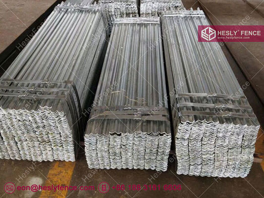 سياج من الصلب بارتفاع 2.4 متر على شكل "D" عرض 2.75 متر | مصنع هيسلي الصين للسياج باليسيد المزود