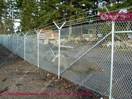 سياج شبكي مجلفن | فتحة ماسية 60X60 مم | ارتفاع 3 متر | Hesly Fence - الصين المزود